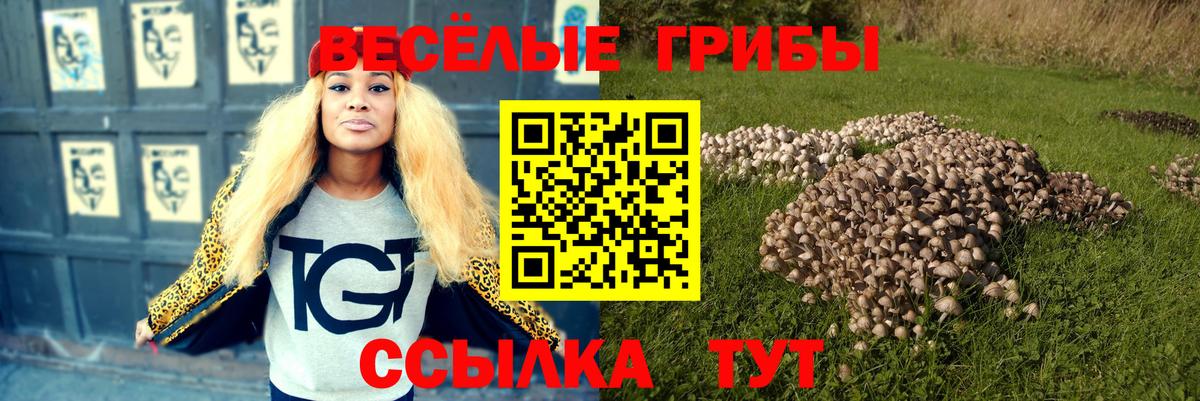 Псилоцибиновые грибы мицелий  Вход с VPN  Бузулук 