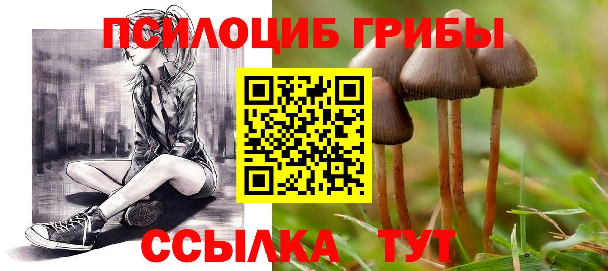 Псилоцибиновые грибы Magic Shrooms Бузулук